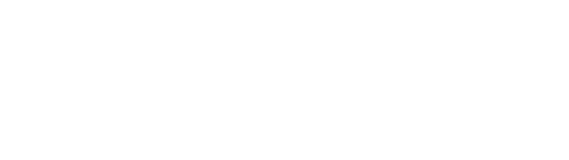 納芯微電子logo