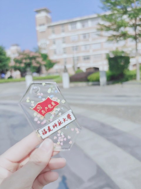 zc鹲